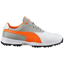 PUMA Men's Golf Ace Golf Shoe
puma