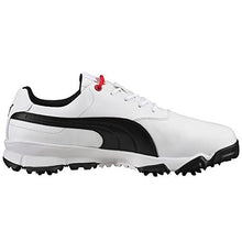 PUMA Men's Golf Ace Golf Shoe
puma