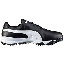 PUMA Men's Golf Ace Golf Shoe
puma