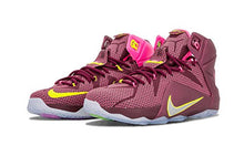 Nike Men's Lebron XII Basketball Shoe
nike