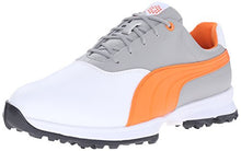 PUMA Men's Golf Ace Golf Shoe
puma